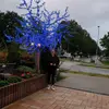 Mandy Ernst - @mandyernst1 - TikTok