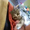 Maximilian - @mandy.ernst - TikTok