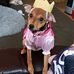 Mandy Ewing - Facebook