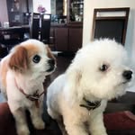 Amanda Farley - @mandy_1945 - Instagram