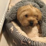 Mandy Fitzpatrick - @mandy.fitzpatrick.754 - Instagram