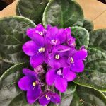 Mandy - @mandy_flower_power_ - Instagram