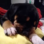 Mandy Forbis - @mandy.forbis.7 - Instagram