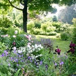 Amanda Foreman - @elmhurst_gardens - Instagram