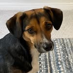 Mandy Gale - @mand_y1961 - Instagram
