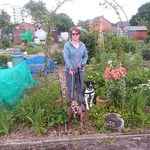 Mandy Gale - @my_perfect_allotment - Instagram