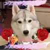 Mandy Gale - @mandy.gale0 - TikTok