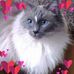 Mandy Gale - Facebook