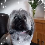 Mandy Gallagher - Facebook
