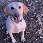 Mandy Gallagher - @amsangall - Instagram