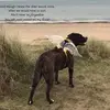 Mandy Galloway - @mandy.galloway - TikTok