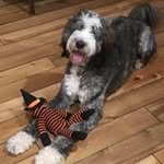 Mandy Garber Dorfman - @mandydorfman - Instagram