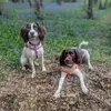 Mandy Garner - @mandy.garner2 - TikTok