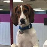 Mandy Garrett McAnulty - @mandy.mcanulty - Instagram