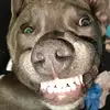 Mandy - @mandygarrett6 - TikTok