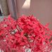 Montu Khaskel - Facebook