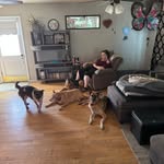 Amanda Gatlin - @lunanbros - Instagram