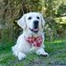 Mandy Gerth-Helbig - Facebook