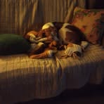 Mandy Gibson - Facebook