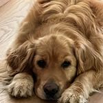 Mandy Glover - @the_bickie_barrel_aka__moo2u - Instagram