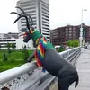 mandygoldsmith9 - @mandygoldsmith9 - TikTok