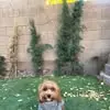 Mandy Greer - @mandy.greer5 - TikTok
