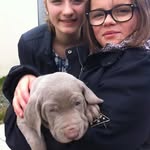 Mandy Gregory Gougeon - @mandygougeon - Instagram