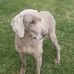 Mandy Guillot - Facebook