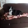 Mandy Gwyn - @mandy.gwyn - TikTok
