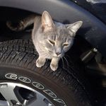 Mandy Hamilton - @mandy.hamilton.5249 - Instagram