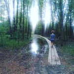 Mandy Haney - @sereneliving.life - Instagram