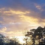 Mandy Joy Haney - @mandy.haney.14 - Instagram