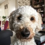 Mandy - @mandy__havens - Instagram