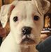 Mandy Hays - Facebook