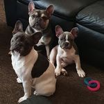 Mandy Moo Heckles - @mandyheckles - Instagram