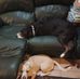 Mandy Helms - Facebook