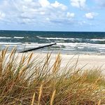 Mandy Hempel - @mandy.hempel.86 - Instagram