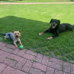 Mandy Hempel - @hplmandy - Instagram