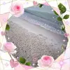 Mandy Hempel - @mandy.hempel4 - TikTok