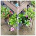 Mandy Hempel - Facebook