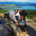 Mandy Herrmann - @nemesis.667 - Instagram