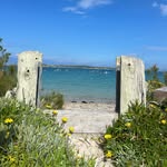 Mandy Higgins - @higgins_home_ - Instagram
