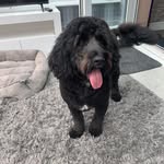 Mandy Higgins - @mand_3435 - Instagram