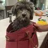 Mandy Higgins - @mandy.higgins8 - TikTok