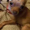 Mandy Hille635 - @mandy22111 - TikTok