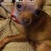 Mandy Hille - Facebook