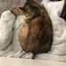 Mandy Hille - Facebook
