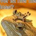 Mandy Hiller - Facebook