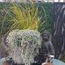 Mandy Hills - Facebook