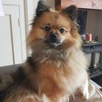 Mandy Hines - @mandyhines33 - Instagram